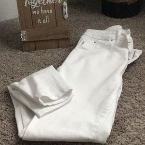 Ladies Fashion Nova Jeans